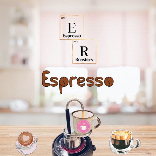 Espresso Roasters ER-I